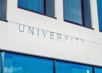 Neue Studiengänge an der IUBH