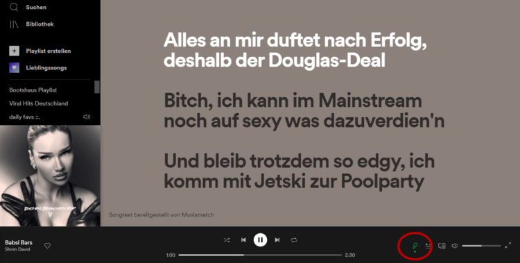 Screenshot Spotify am PC - Mikrofon-Symbol blendet Lyrics ein