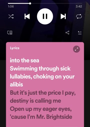 Screenshot Spotify-App auf dem Smartphone - Lyrics