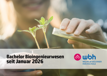 Bachelor Bioingenieurwesen an der WBH, Schaubild